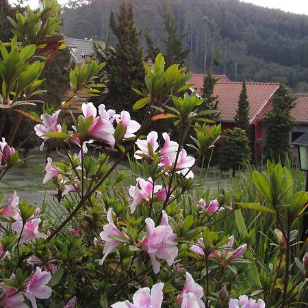 Pousada Flores Da Serra Монте Верде Екстериор снимка